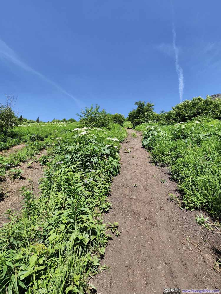 Steep Trail