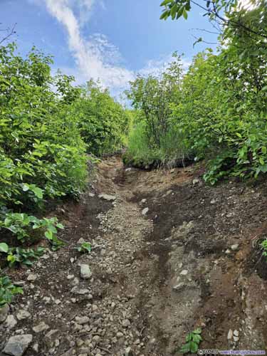Steep Trail to Mt Baldy