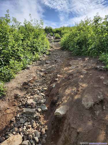 Steep Trail to Mt Baldy