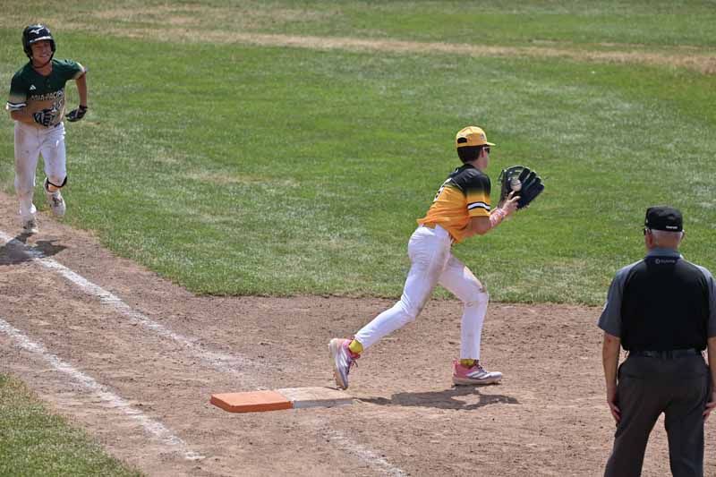 2025 Junior League World Series Game