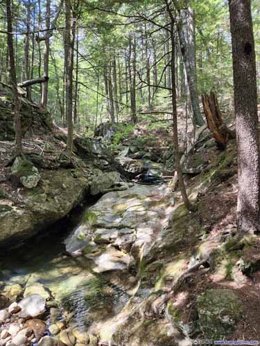 Creek in Chandler Gorge