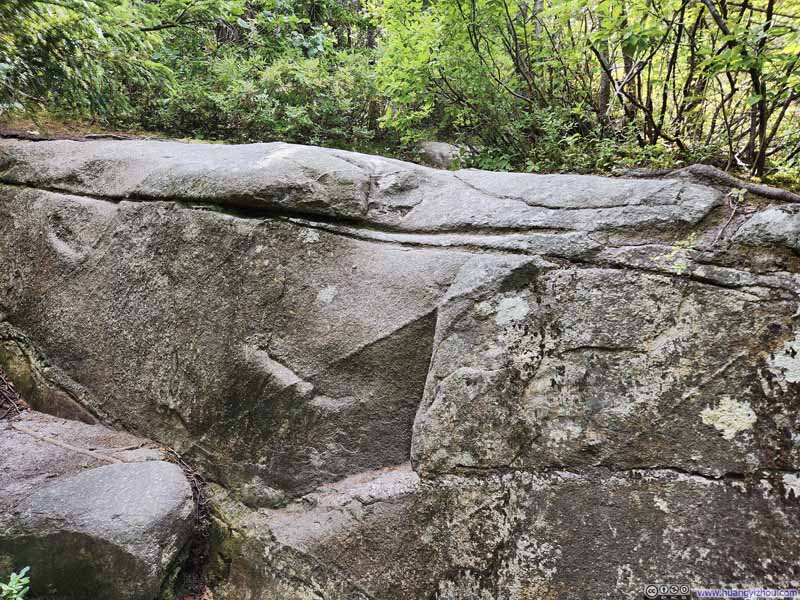 Steep Step along Trail