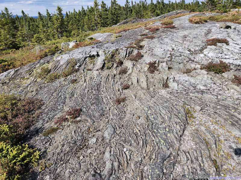 Textured Rocks along Trail
