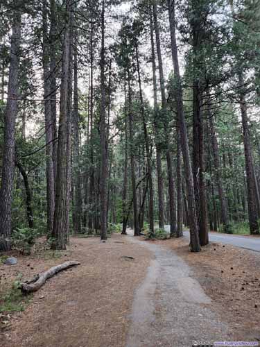 Trail along Happy Isles Loop Road