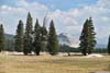 Lembert Dome beyond Tuolumne Meadows