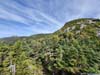 Mt Mansfield from Trail