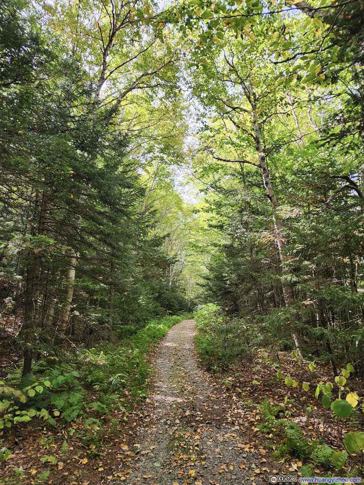 CCC Road as Narrow Trail