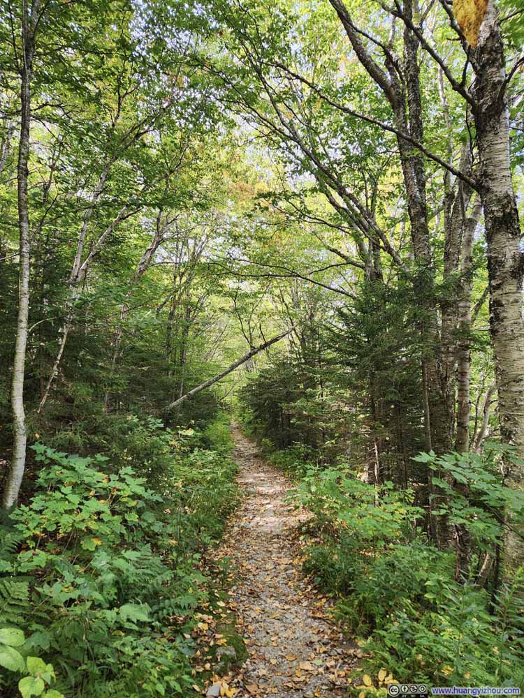 CCC Road as Narrow Trail