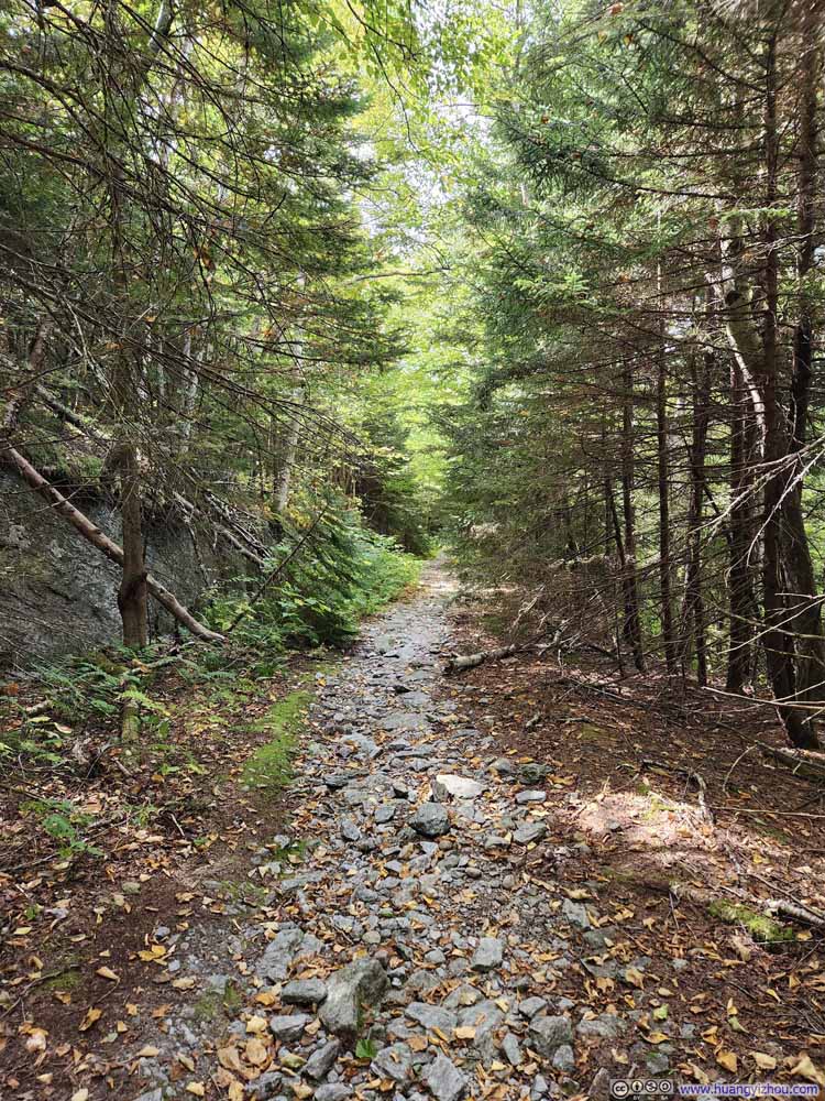 CCC Road as Narrow Trail