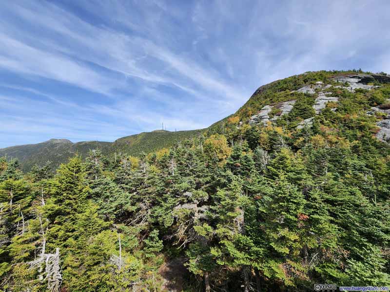 Mt Mansfield from Trail