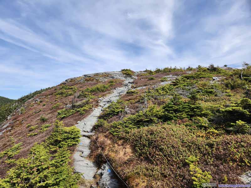 Trail through Tundra Field