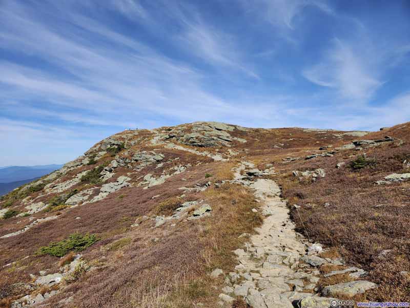 Trail through Tundra Field