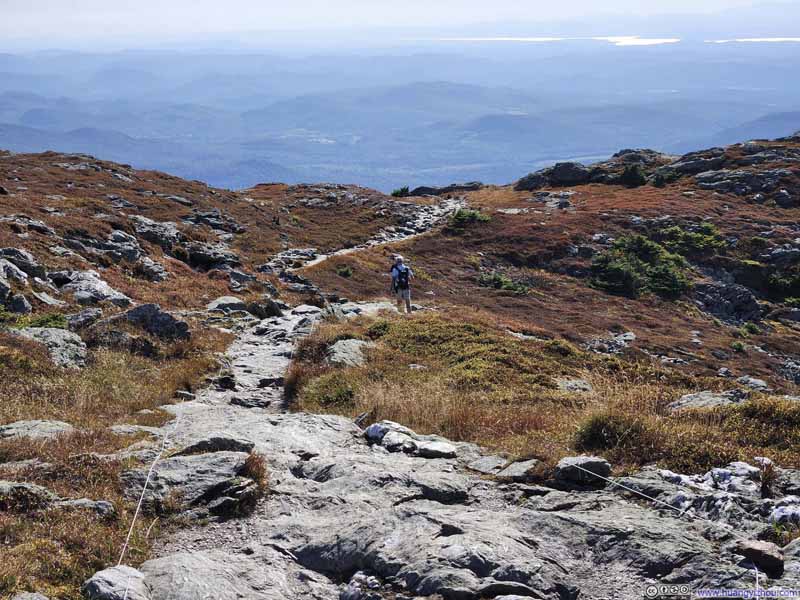 Trail through Tundra Field