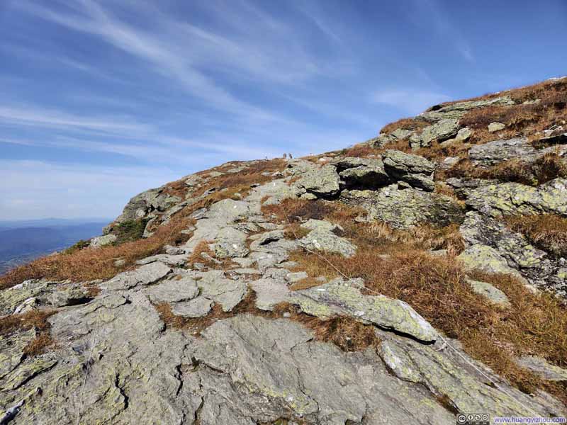Trail through Tundra Field