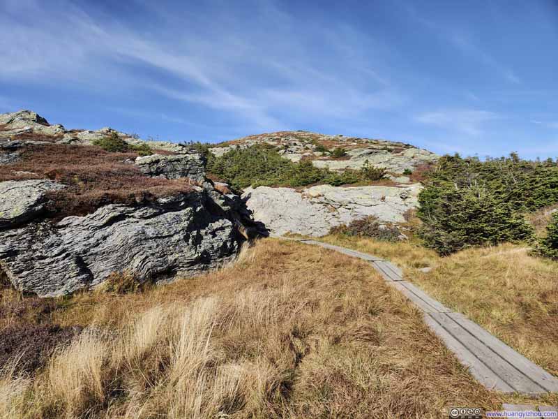 Trail through Tundra Field