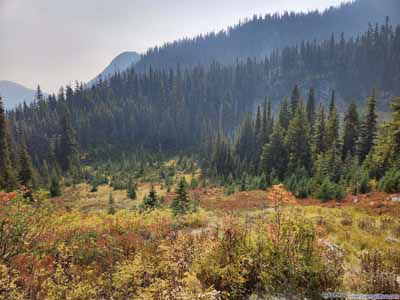 Fields Dressed in Autumn Colors