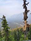 Overlooking Rainy Pass