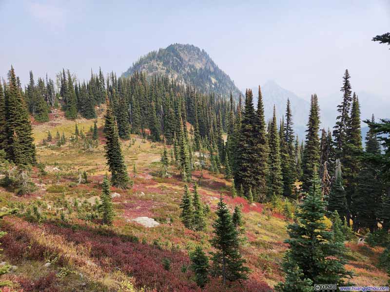 Fields Dressed in Autumn Colors