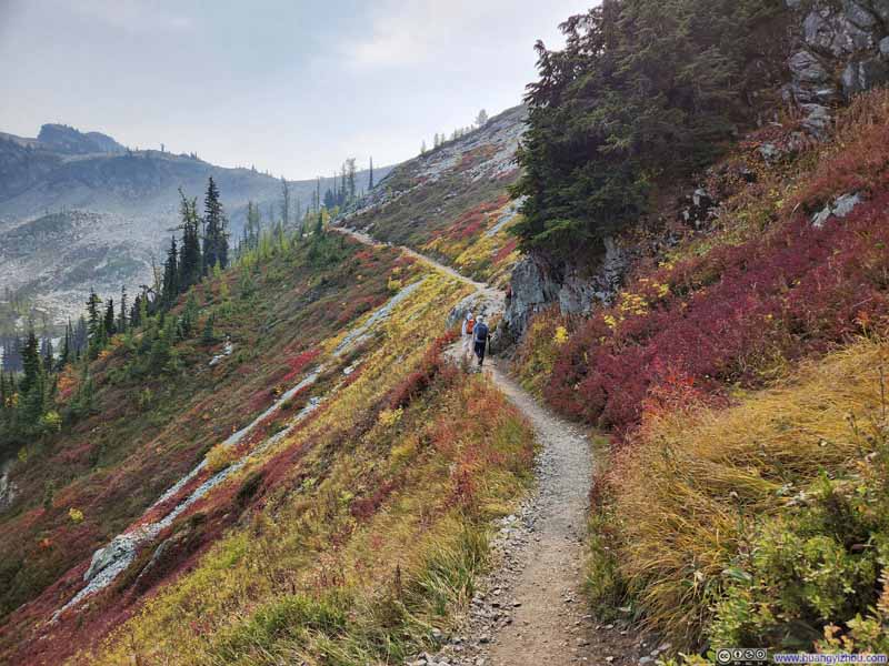 Trail through Vibrant Fields