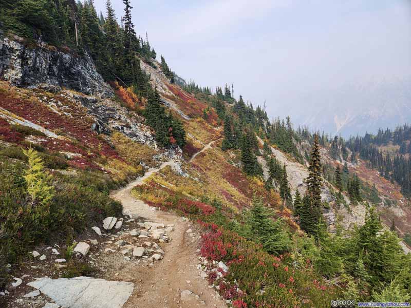 Trail through Vibrant Fields