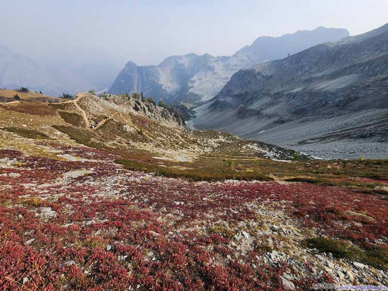 Fields Dressed in Autumn Colors