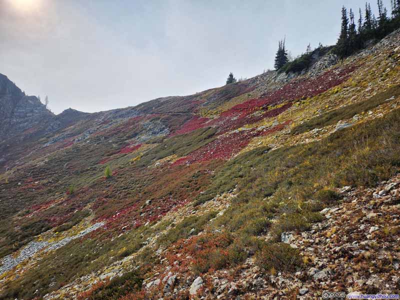 Fields Dressed in Autumn Colors