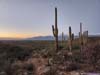 Trail against Santa Catalina Mountains