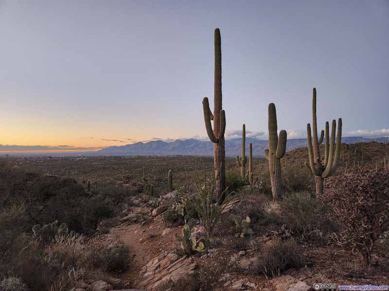 Trail against Santa Catalina Mountains