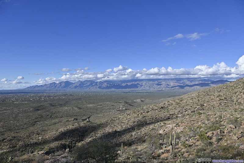 Santa Catalina Mountains
