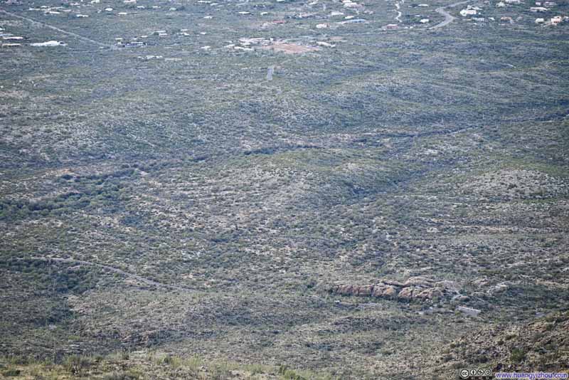 Javelina Rocks along Cactus Forest Dr