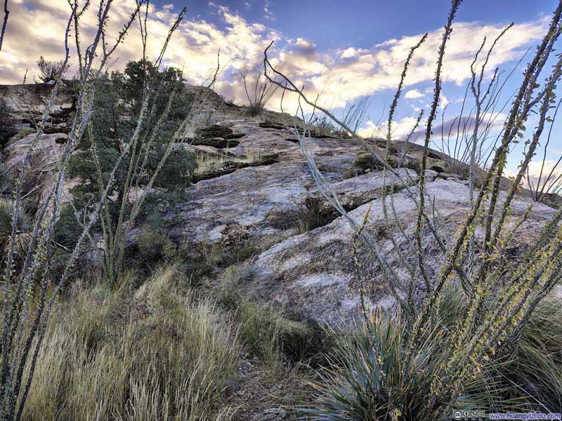 Final Steep Stretch to Tanque Verde Dome