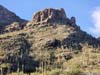Hillside Decorated with Saguaros