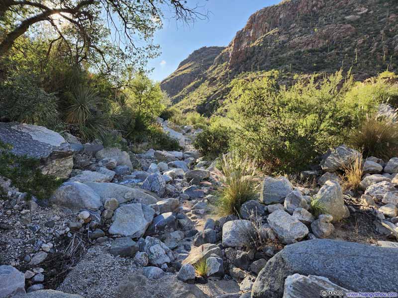 Dry Riverbed of Pima Wash