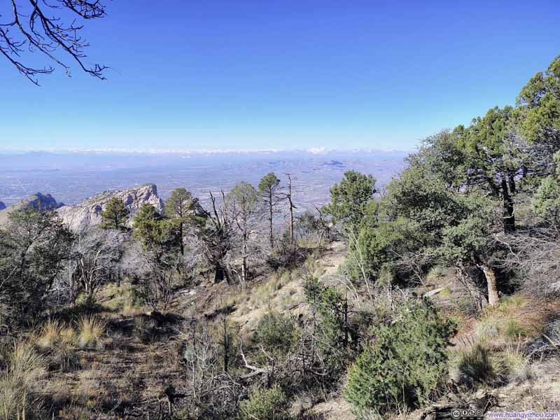 Sparse Forest on Mt Kimball