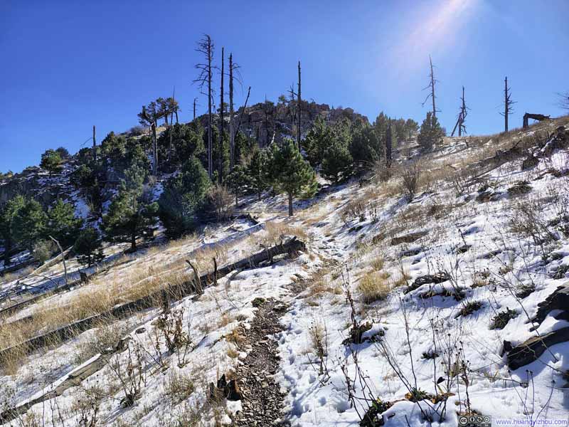 Trail through Snowy Fields