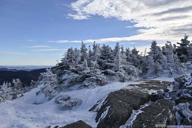 Snow-Covered Shrubs on Mt Jackson