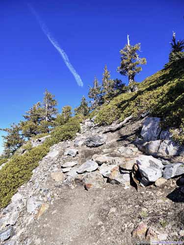 Trail