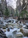 Cascades along Icehouse Creek