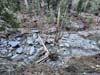 Icehouse Creek