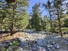 Field of Rocks along Icehouse Canyon