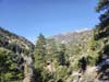 San Gabriel Mountains from Icehouse Canyon