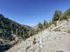 Trail above Icehouse Canyon