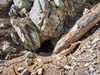 Small Cave