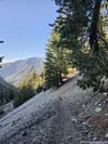Trail