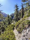 Trail