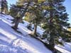 Snow along Trail