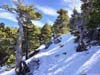 Snow along Trail