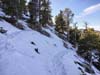 Snow along Trail