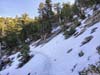 Snow along Trail