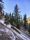 Snow along Trail